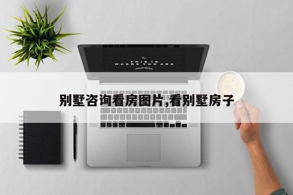 别墅咨询看房图片,看别墅房子