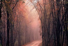 施政报告楼市资讯不多的原因剖析是什么,施政报告是什么意思