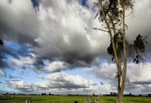 新房咨询公司起名大全及寓意图片,新房咨询公司起名大全及寓意图片及价格