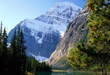 施政报告楼市资讯不多的原因剖析是什么,施政报告是什么意思